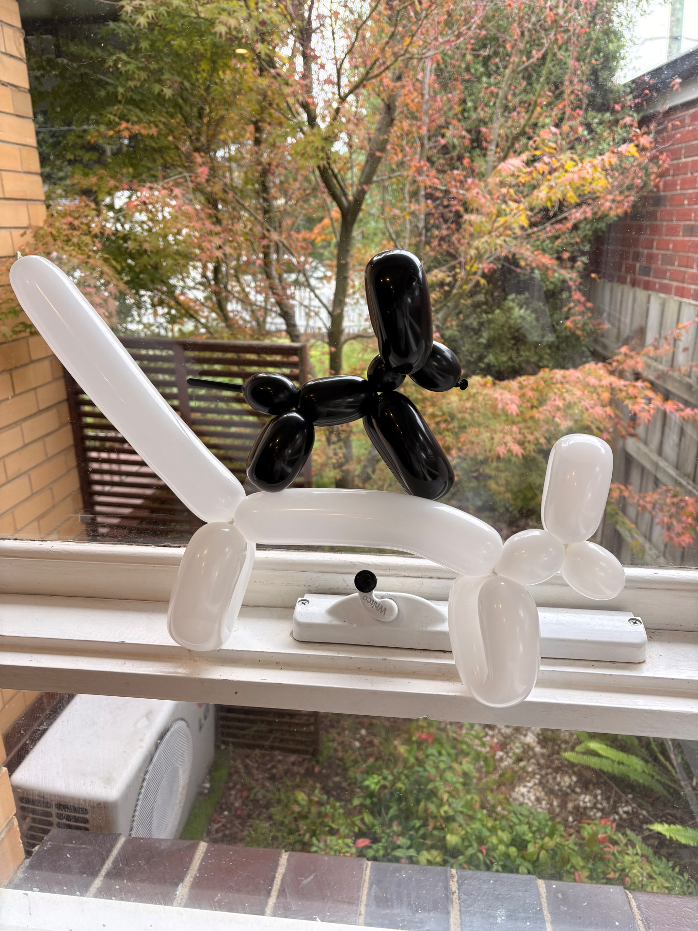 A black balloon dog sitting on a white balloon sword