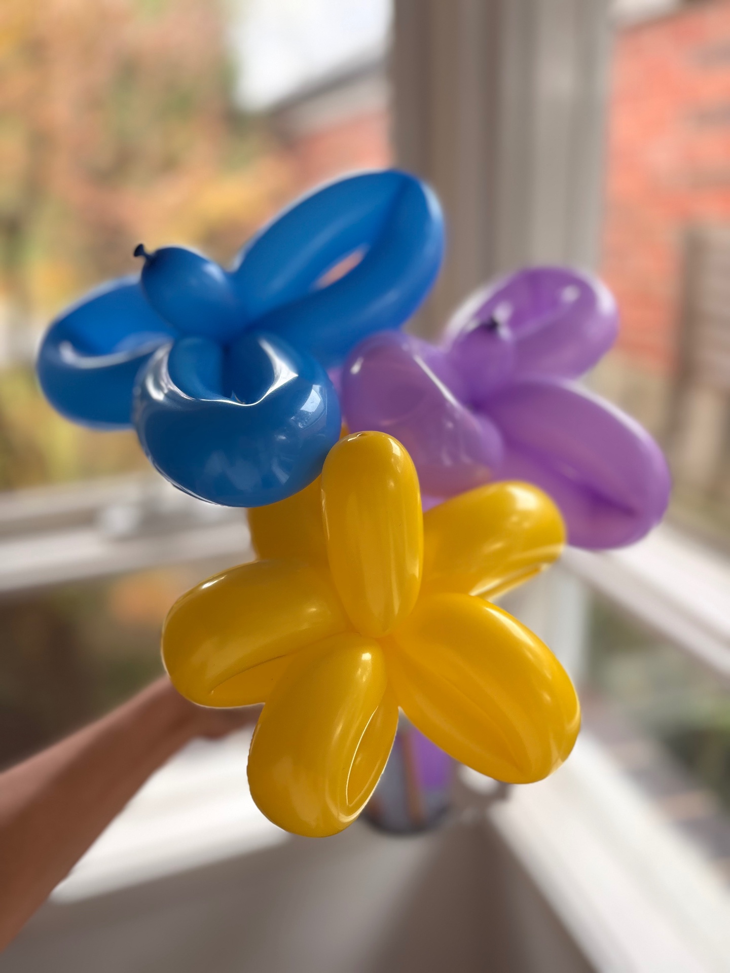 Yellow, blue and purple balloon flowers